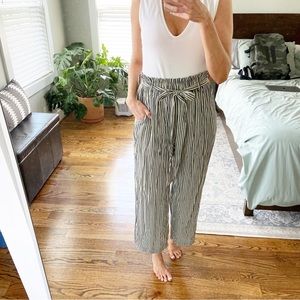 Blue Striped High Waisted Wide leg  Pant NWOT Size Small